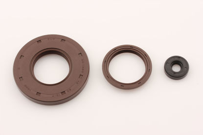 Bilde av OIL SEAL KIT SKI DOO 1000