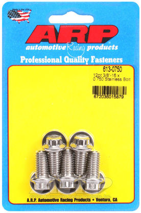 Bilde av 3/8-16 x 0.750 12pt SS bolts