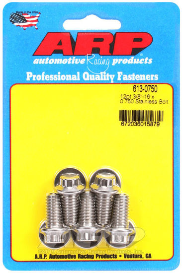 Bilde av 3/8-16 x 0.750 12pt SS bolts