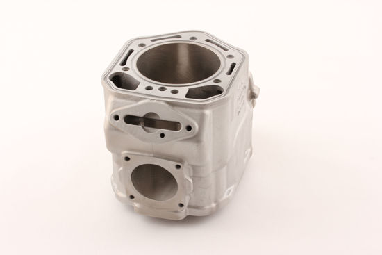 Bilde av BYTTESYLINDER ROTAX MXZ 800 2001-02 (S420923817)