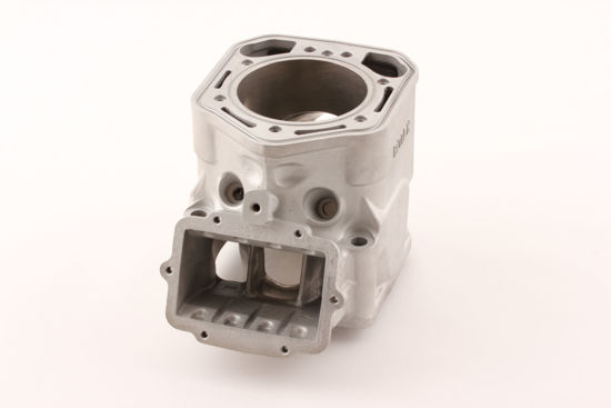 Bilde av BYTTESYLINDER ROTAX MXZ RAVE SDI 800 03-04