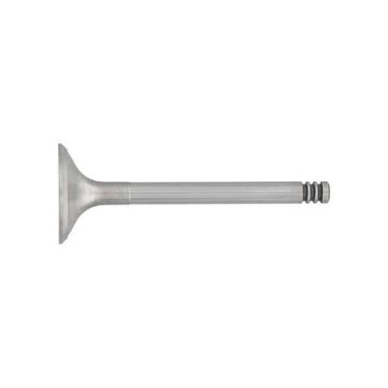 Bilde av INLET VALVE (2) VW