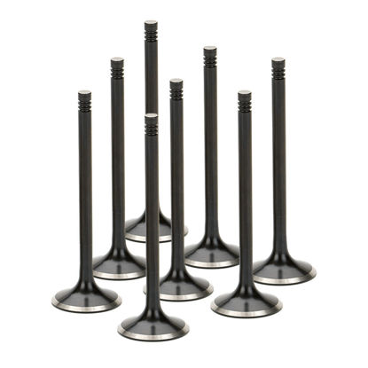 Bilde av Supertech Valve Kit Exhaust BMW S14 33.00mm Black Nitride
