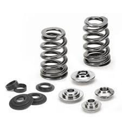 Bilde av Supertech Valve Spring Kit Ford/Mazda 2.0L/2.3L Duratec