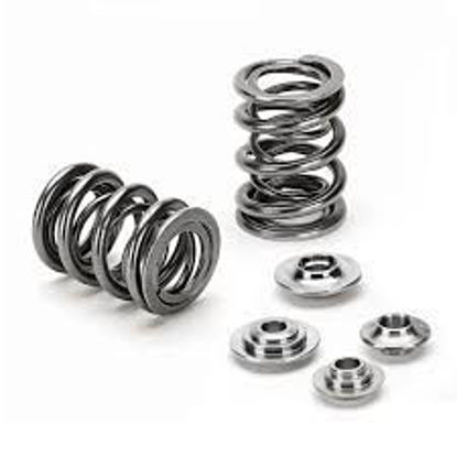 Bilde av Supertech Valve Spring Kit Honda B16A