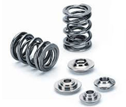 Bilde av Supertech Valve Spring Kit Nissan CA18