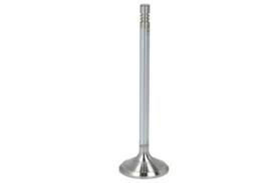 Bilde av INLET VALVE (2) VOLVO/ FORD