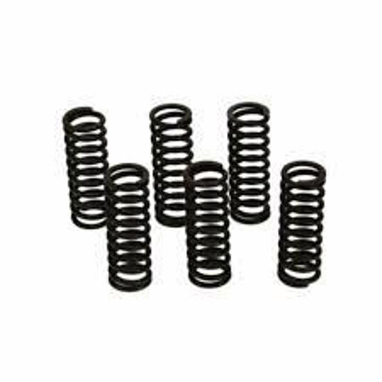 Bilde av Clutch Spring Kit XR400/TRX250/ATC250R